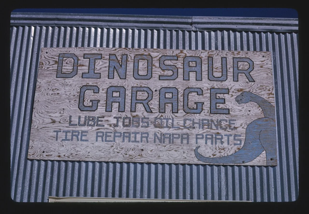 Color a Dinosaur